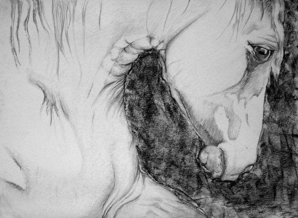 C2D_Tableau_Cheval_02